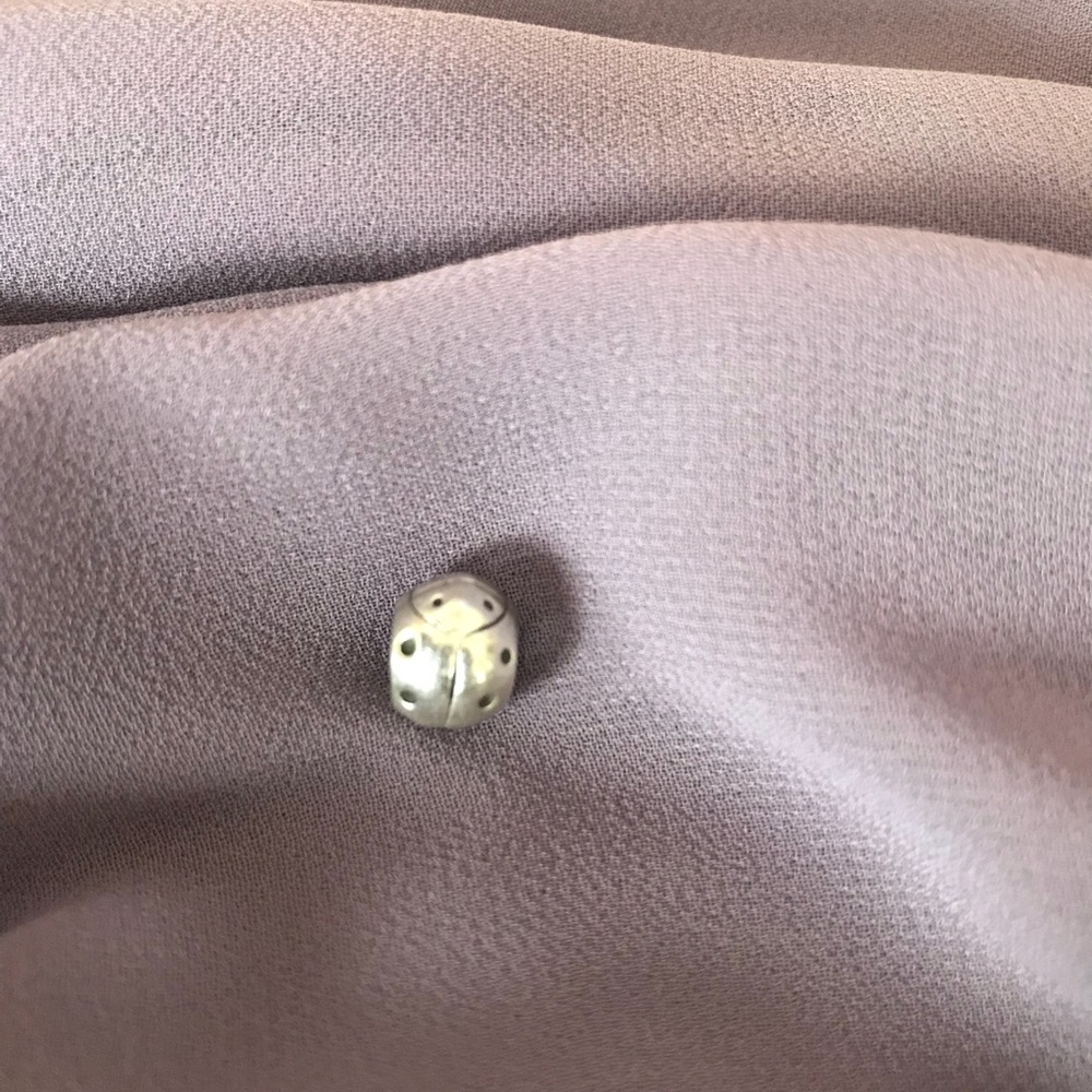 Pandora Ladybug Charm